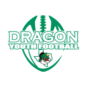 HOME dragon Youth Football jerseys